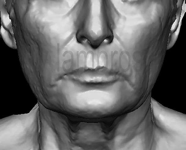 論文圖片：3D面部模型圖像（241）