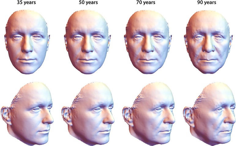 不同年齡男性的3D面部模型變化。|506